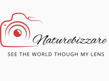 naturebizzare.com